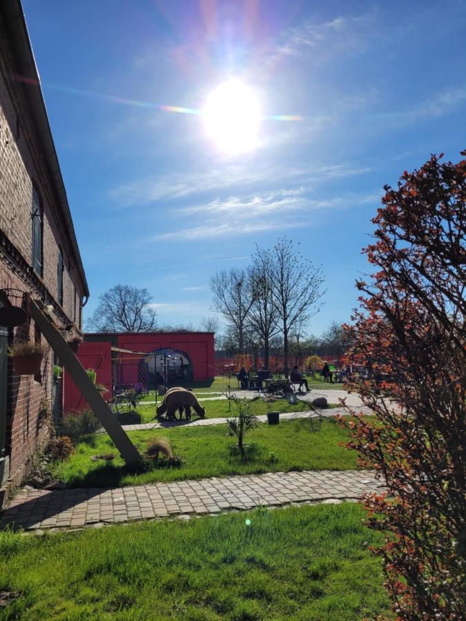 Maerchenhaft Urlauben Auf Dem Alpakahof Apartamento Rambow Exterior foto