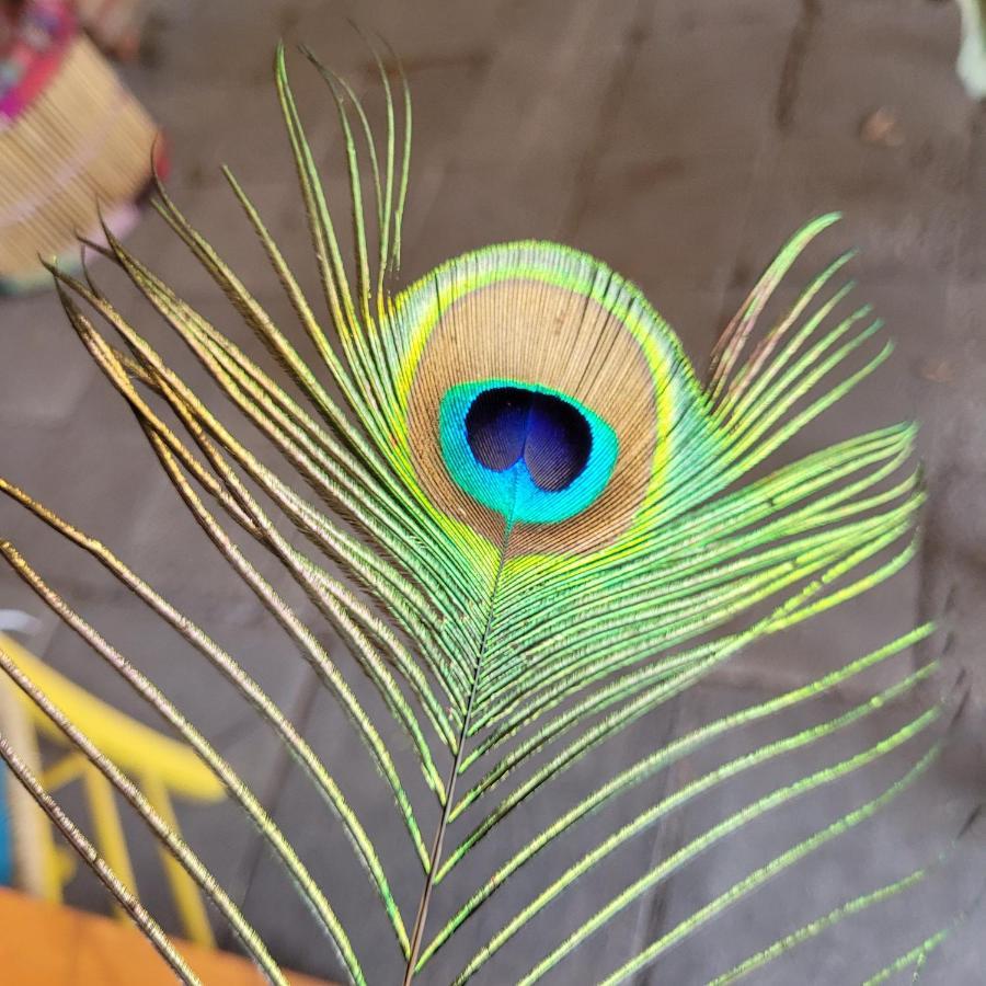 Maerchenhaft Urlauben Auf Dem Alpakahof Apartamento Rambow Exterior foto