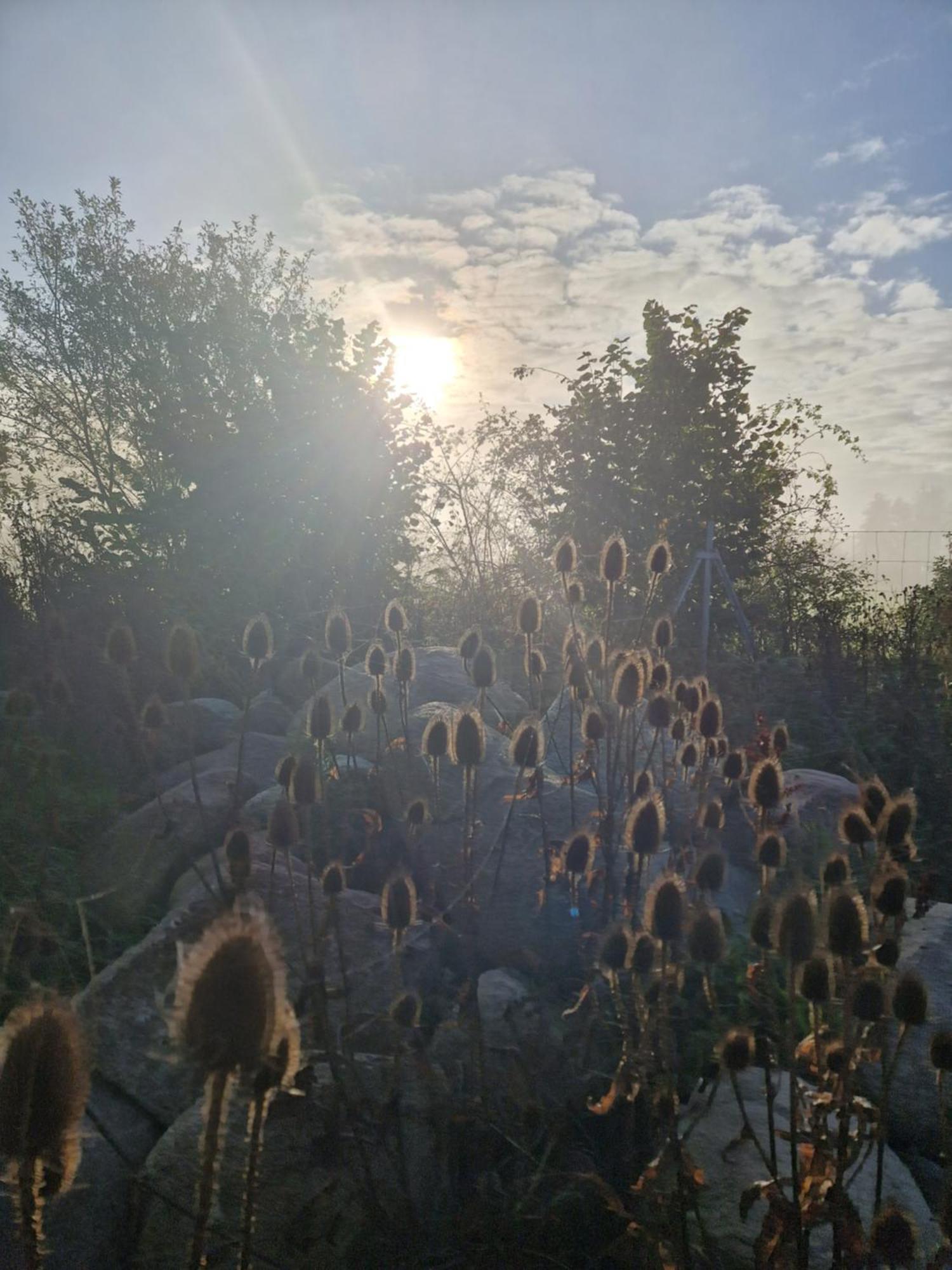 Maerchenhaft Urlauben Auf Dem Alpakahof Apartamento Rambow Exterior foto