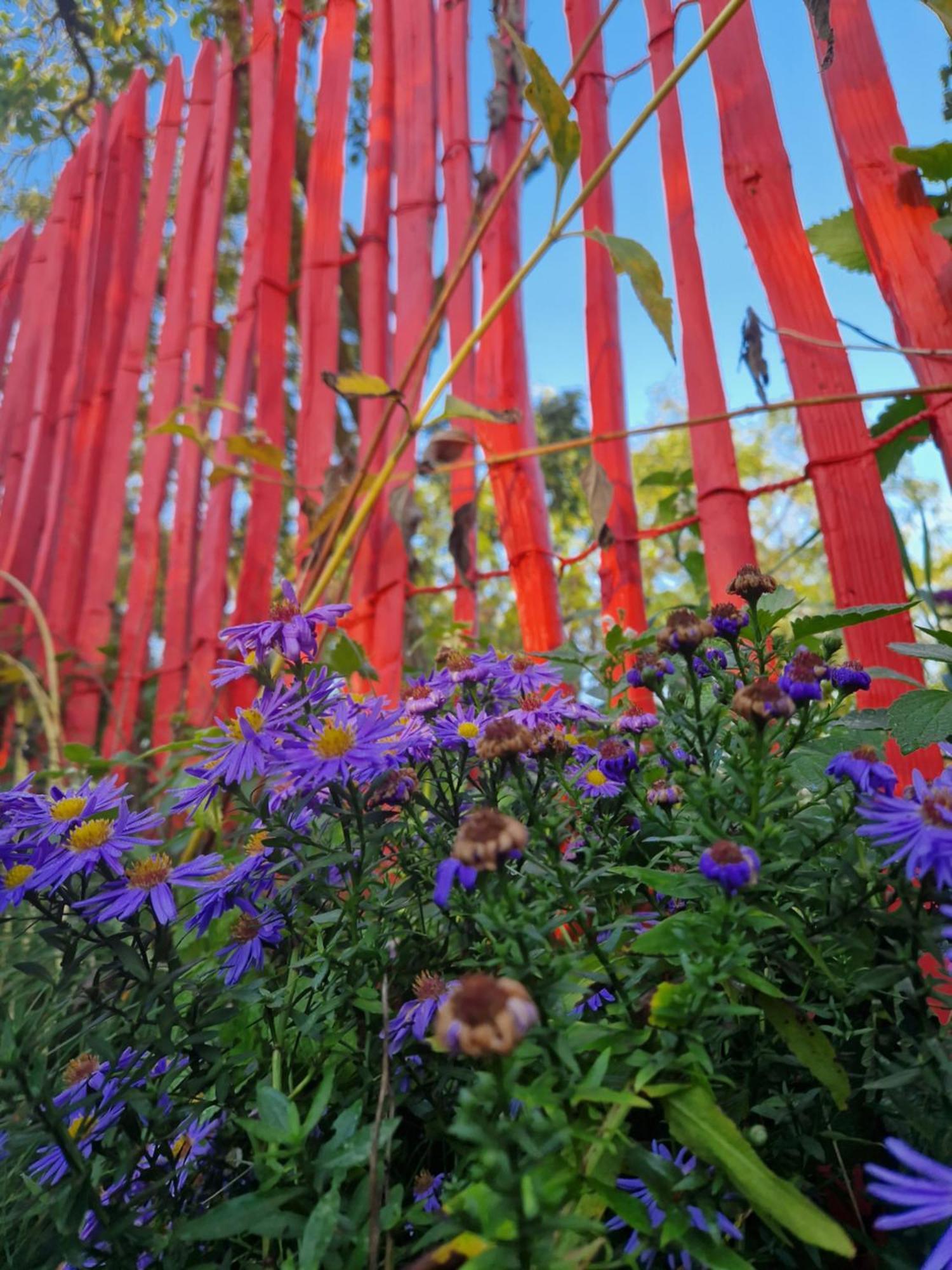 Maerchenhaft Urlauben Auf Dem Alpakahof Apartamento Rambow Exterior foto