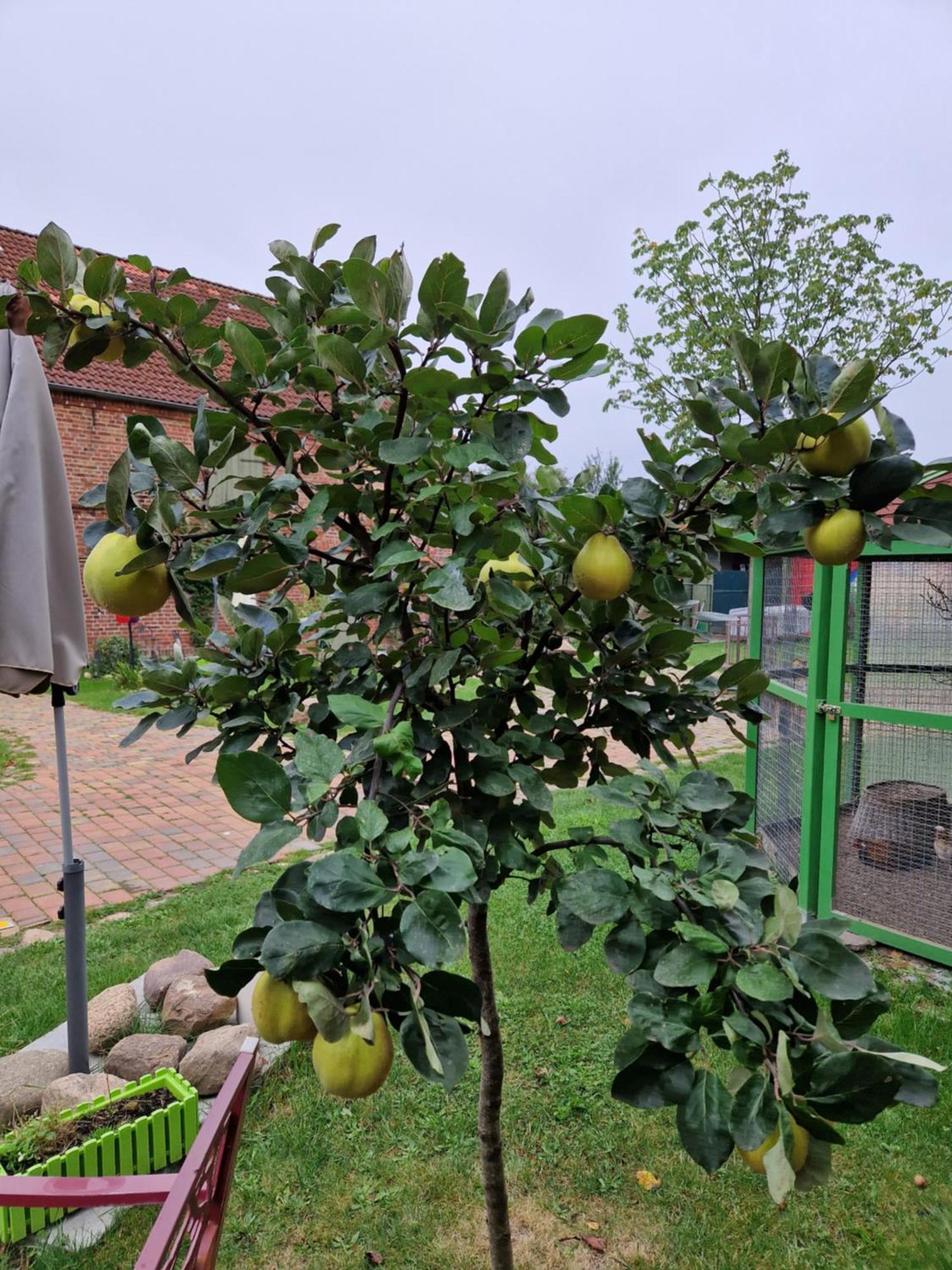 Maerchenhaft Urlauben Auf Dem Alpakahof Apartamento Rambow Exterior foto